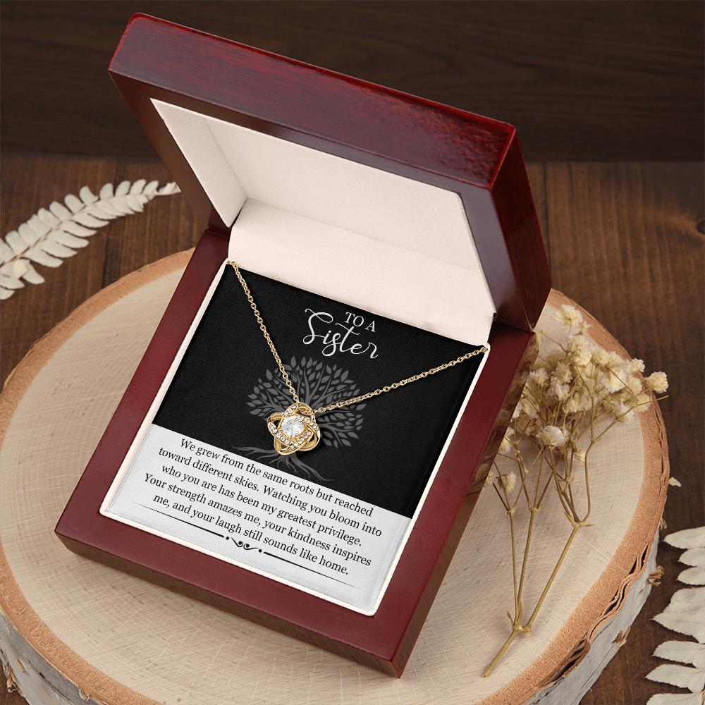 Sister Gift Necklace with Message Card | Heartfelt Birthday Gift for Sister | Soul Sister Jewelry | Sister in Law Gift | Big Little Sister