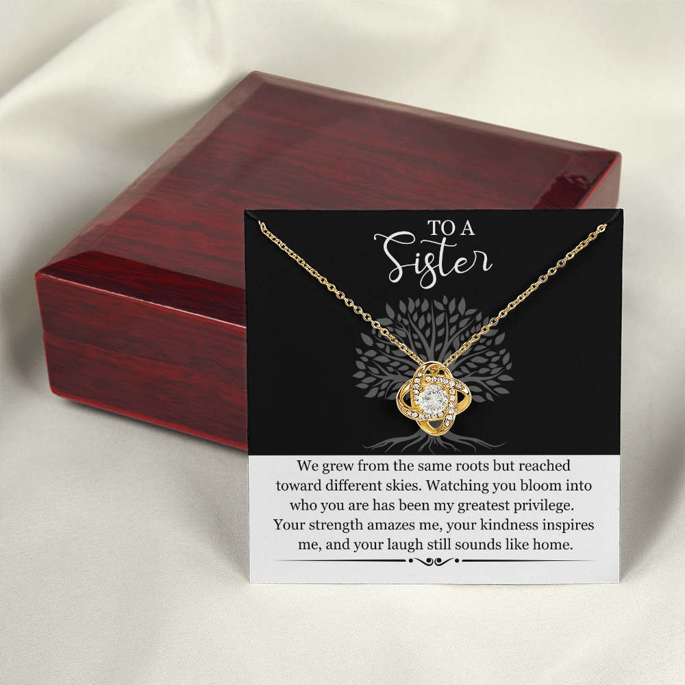 Sister Gift Necklace with Message Card | Heartfelt Birthday Gift for Sister | Soul Sister Jewelry | Sister in Law Gift | Big Little Sister