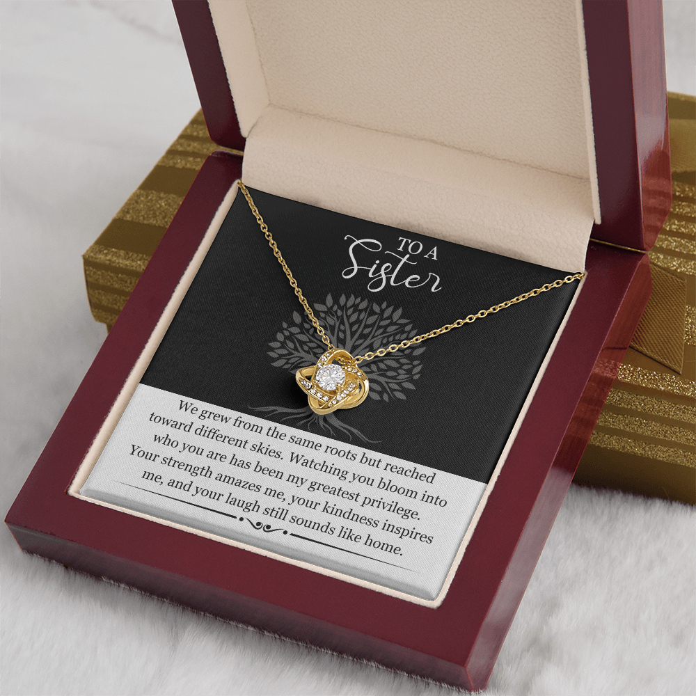 Sister Gift Necklace with Message Card | Heartfelt Birthday Gift for Sister | Soul Sister Jewelry | Sister in Law Gift | Big Little Sister