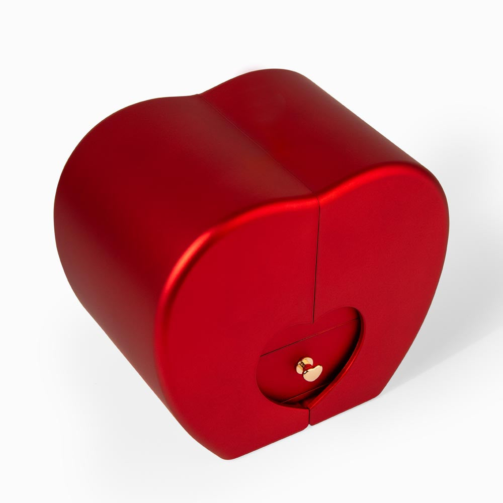 Heart shaped gift box - to my wife - i may not be your first kiss