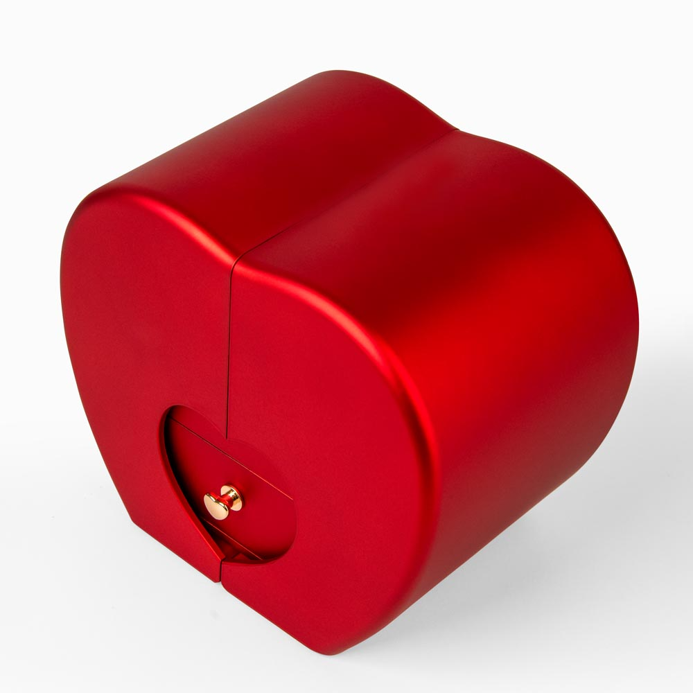Heart shaped gift box - to my wife - i may not be your first kiss