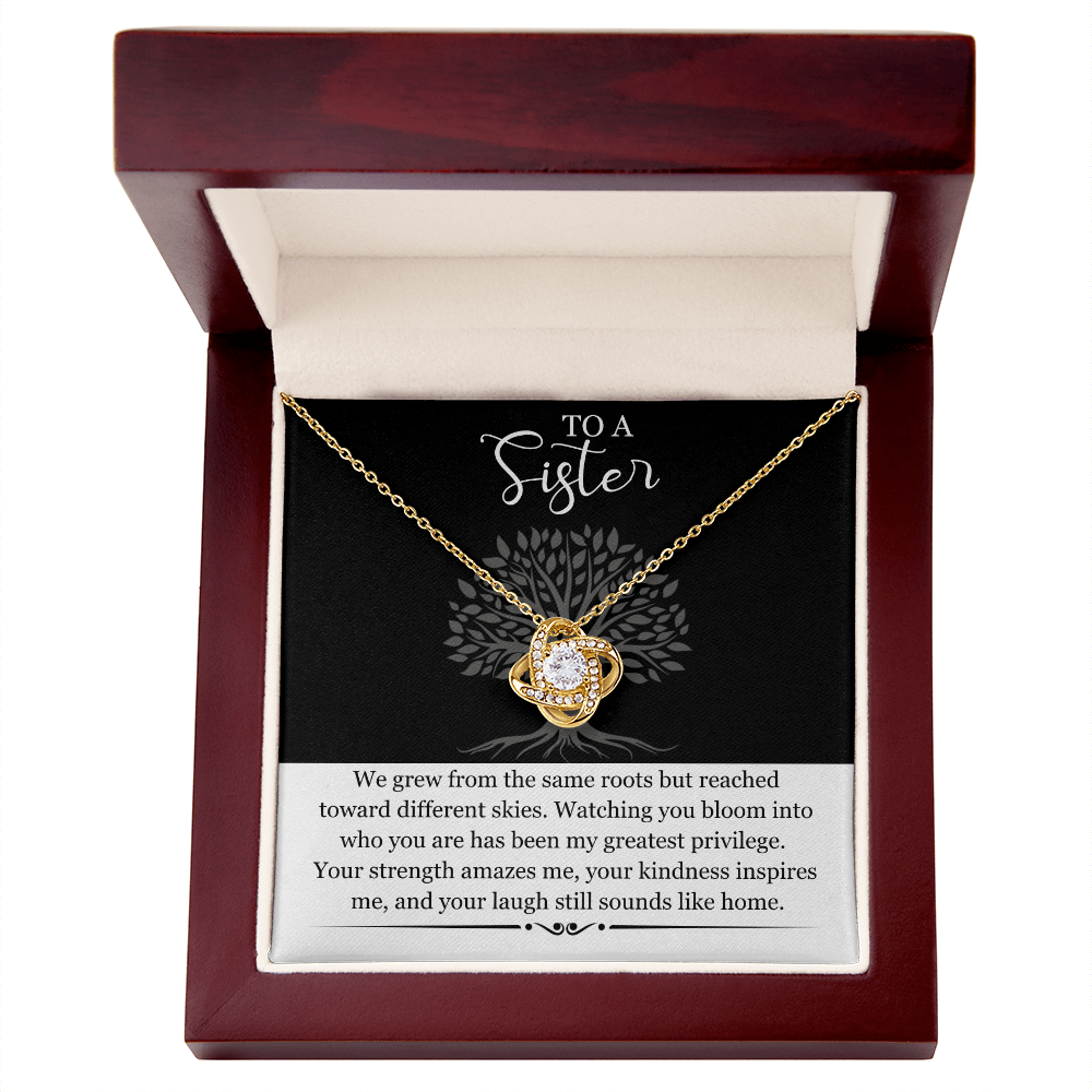 Sister Gift Necklace with Message Card | Heartfelt Birthday Gift for Sister | Soul Sister Jewelry | Sister in Law Gift | Big Little Sister