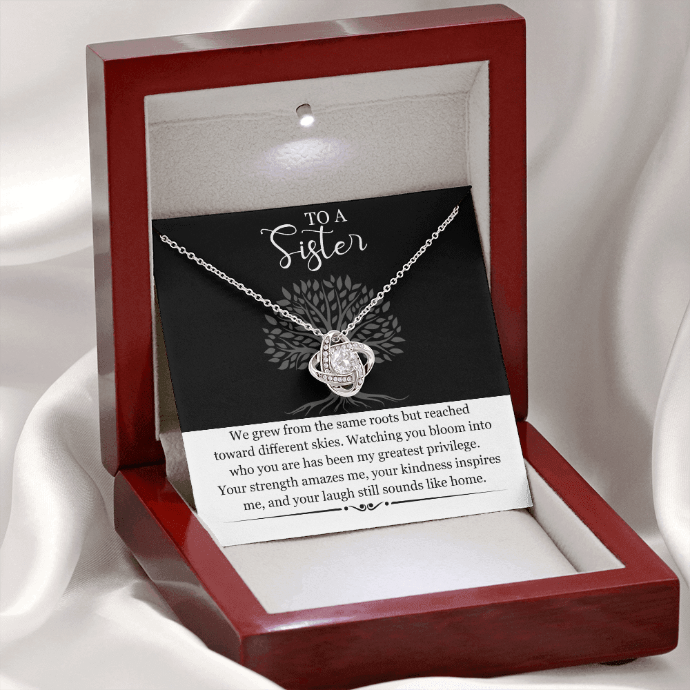 Sister Gift Necklace with Message Card | Heartfelt Birthday Gift for Sister | Soul Sister Jewelry | Sister in Law Gift | Big Little Sister