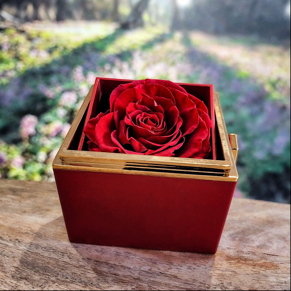 A Blossom of Support: Rotating Flower Box with "To My Stunning Daughter" Necklace