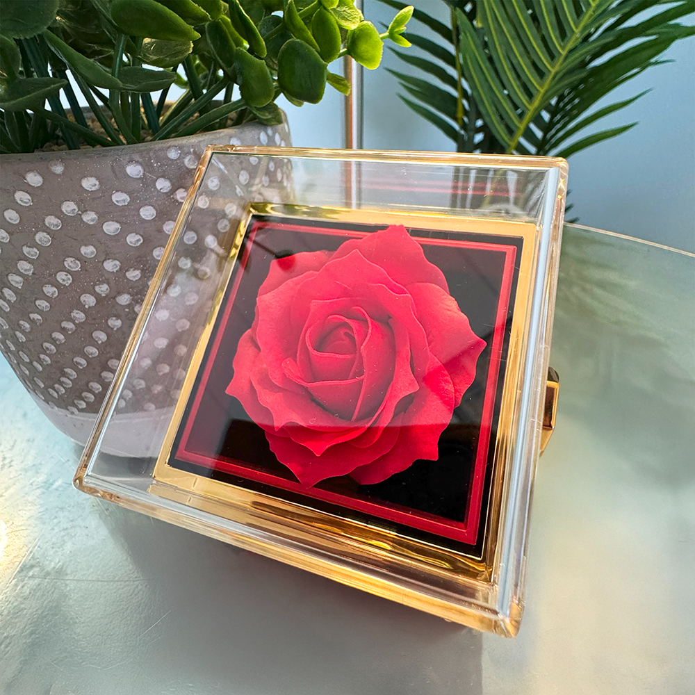 Wife Gift Box Rotating Jewelry Box | Love Knot Necklace | Anniversary Gift | Romantic Gift for Her | Luxury Jewelry